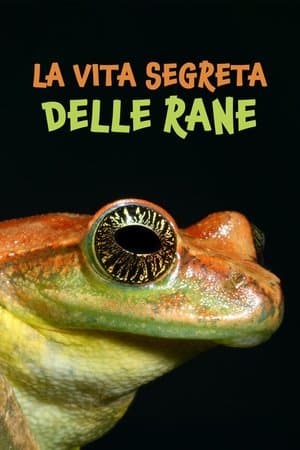 copertina La vita segreta delle rane