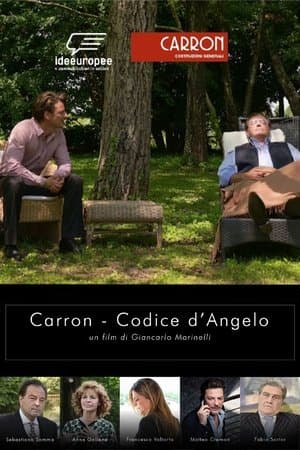 copertina Codice Angelo