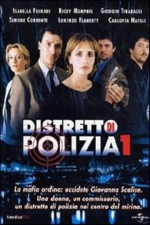 copertina del programma Distretto di polizia