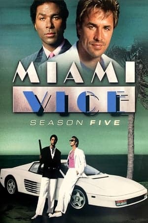 copertina del programma Miami Vice
