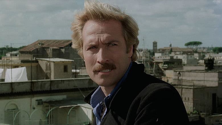 copertina Il cinico, l'i****e, il violento