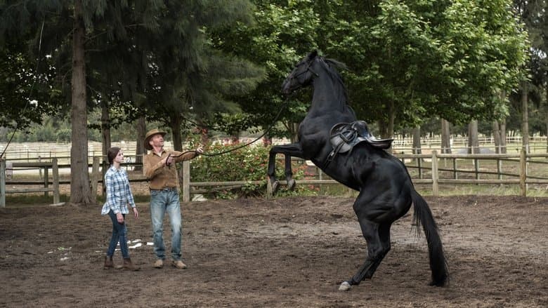 copertina Black Beauty - Autobiografia Di Un Cavallo