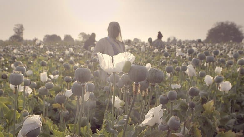 copertina Big Pharma - Il crimine del secolo