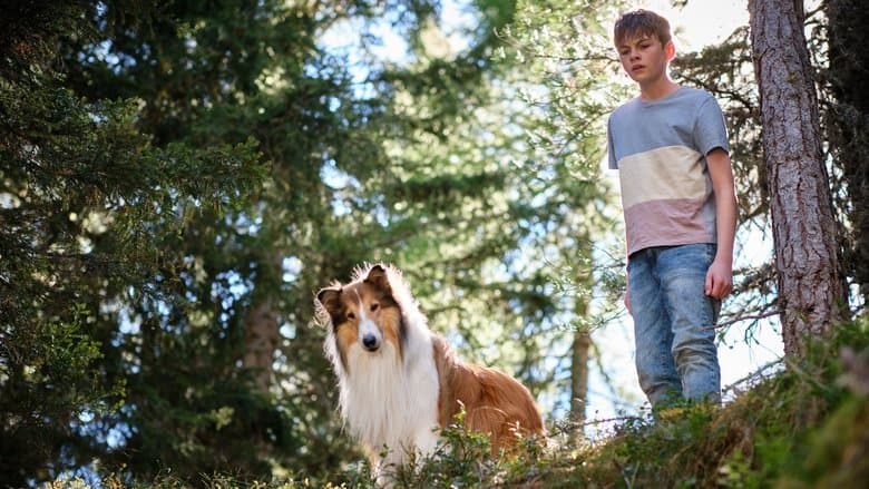 Lassie - Una nuova avventura copertina del programma Lassie - Una nuova avventura