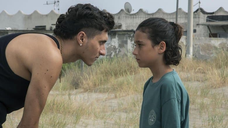 copertina Denti da squalo