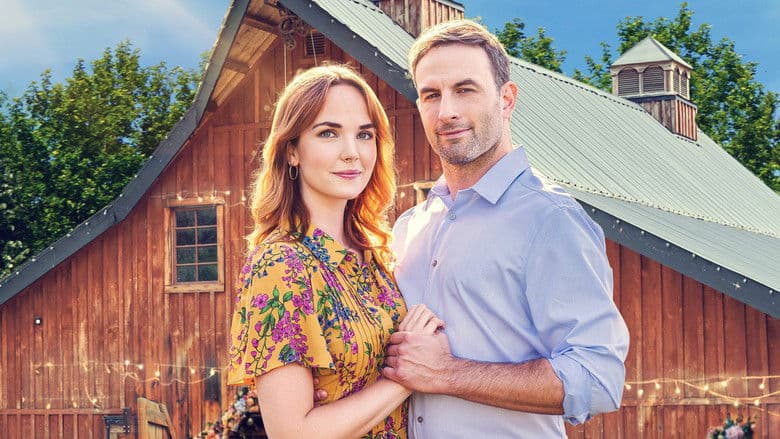 Un Matrimonio Su Misura copertina del programma Un Matrimonio Su Misura