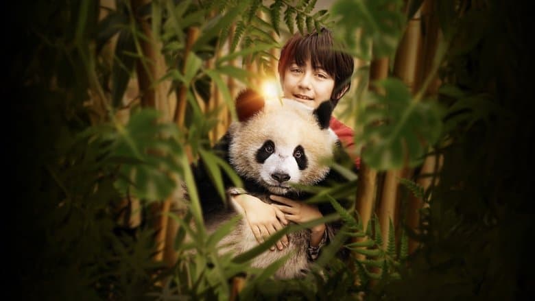 copertina Moon il panda