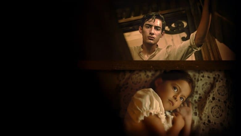 copertina Senza sangue