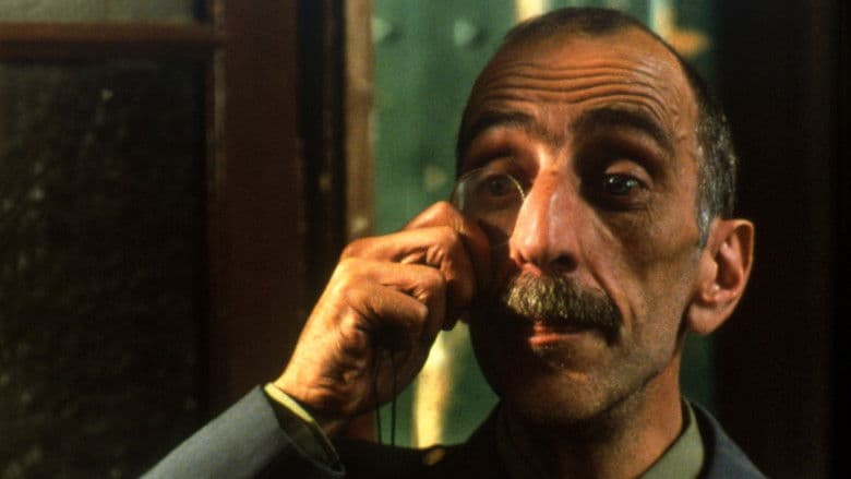 Ricordi della casa gialla copertina del programma Ricordi della casa gialla