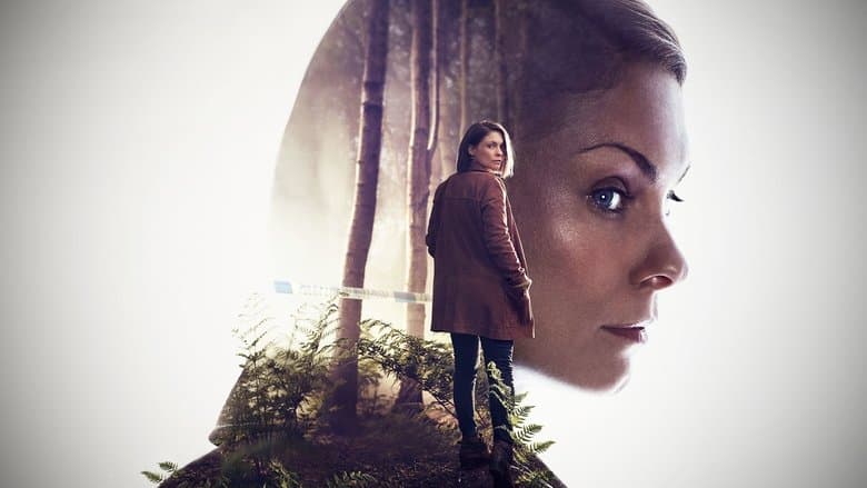 In the dark copertina del programma In the dark