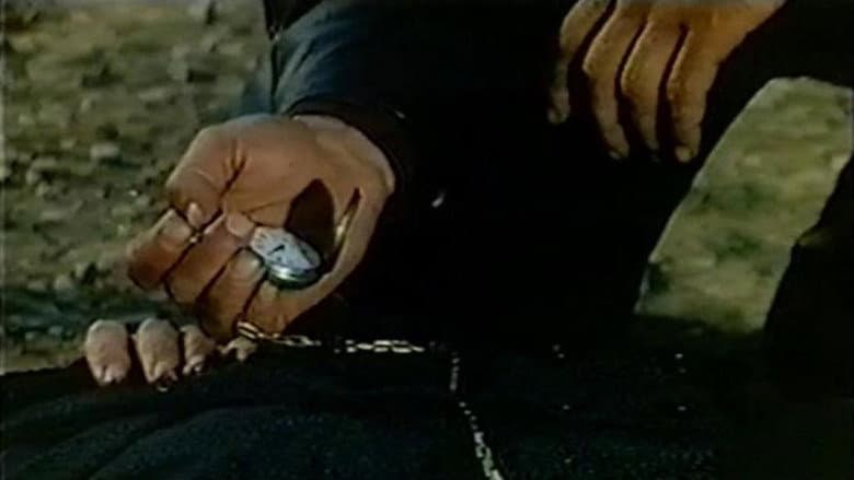 copertina Le maledette pistole di Dallas