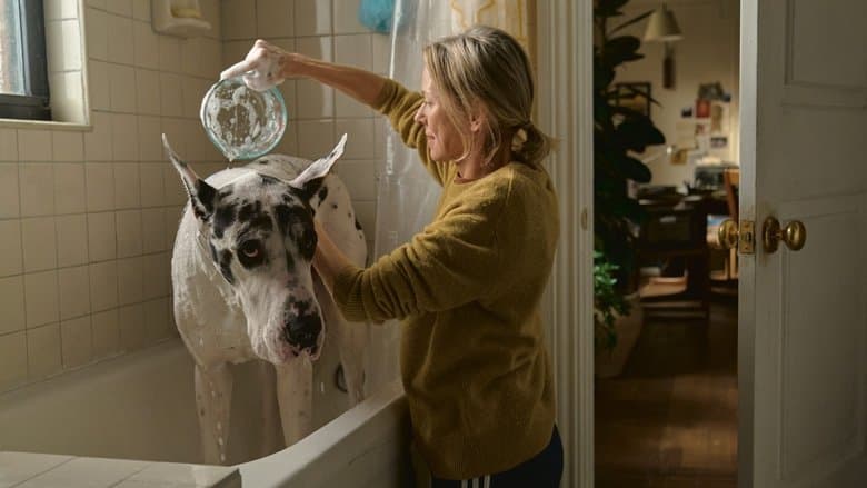 copertina L'amico fedele