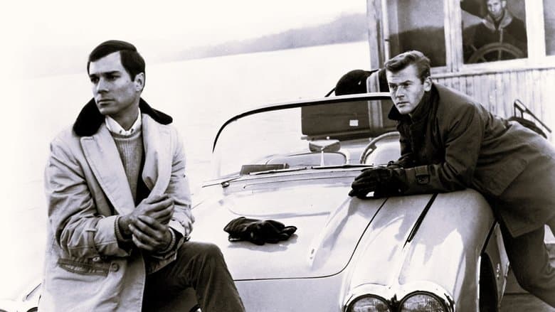 copertina 66-5 - Roxane Bauer avvocata penalista