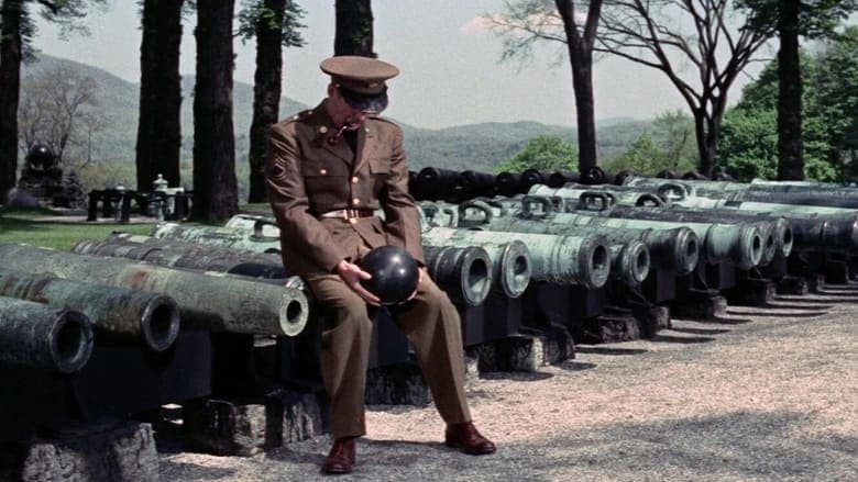 copertina La lunga linea grigia