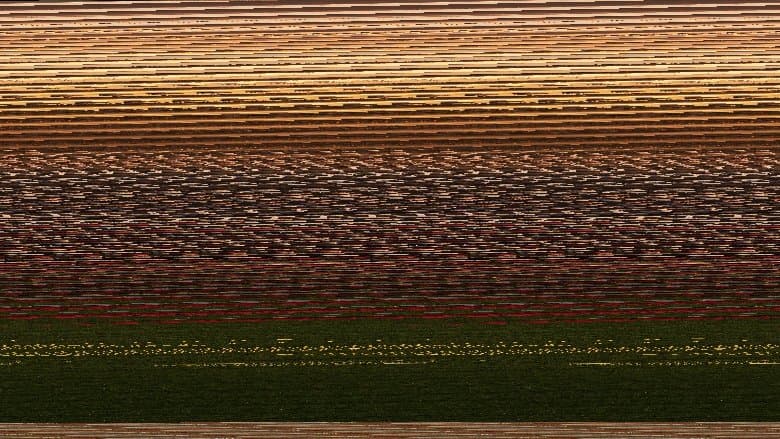 Le ali della vita copertina del programma Le ali della vita