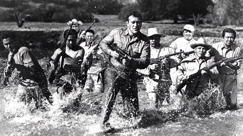 copertina Gli eroi del Pacifico