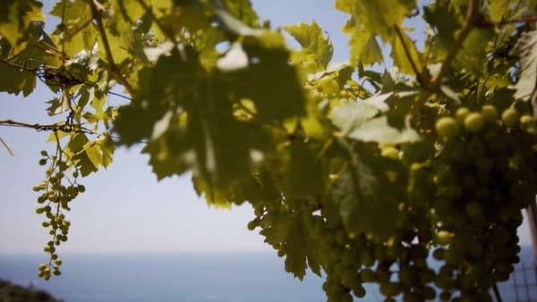 copertina Le Città Nascoste - Stag. Le Città Nascoste - Le Città Nascoste Ep.02