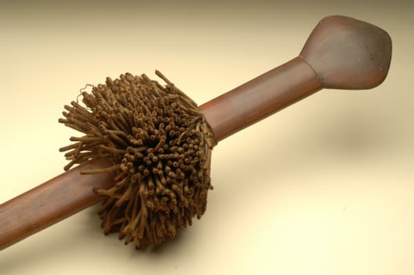 copertina Le meraviglie dell'Atlantico