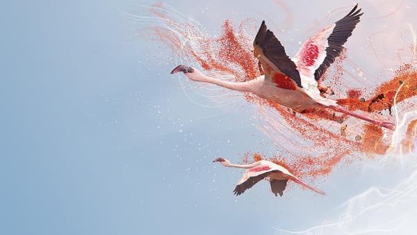 Un pianeta perfetto copertina del programma Un pianeta perfetto