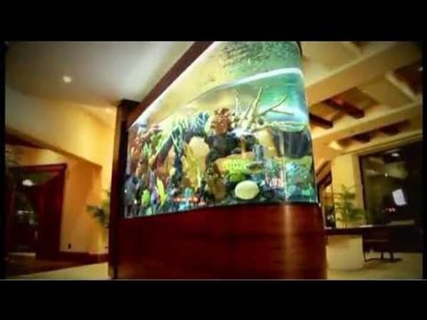 Acquari di famiglia copertina del programma Acquari di famiglia