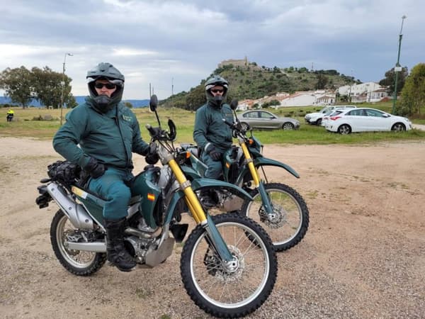 Animal Security: Spagna copertina del programma Animal Security: Spagna