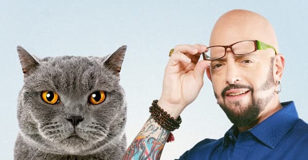 Il mio gatto e' indemoniato copertina del programma Il mio gatto e' indemoniato