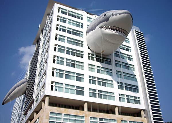 copertina Shark Week
