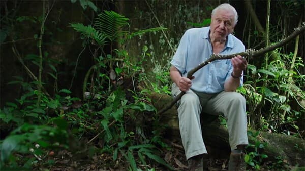 Il Pianeta Verde copertina del programma Il Pianeta Verde