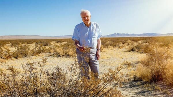 copertina Il Pianeta Verde