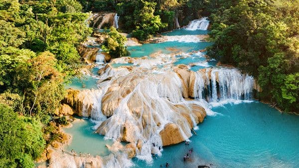 copertina Messico Selvaggio - Lotta Per Il Dominio