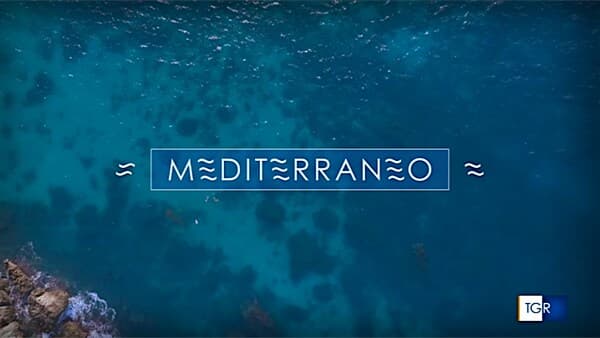copertina Cacciatori Del Mediterraneo
