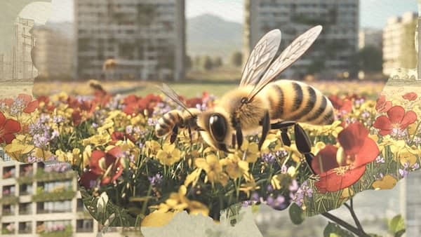 copertina La Scuola Della Biodiversità Tecnologie