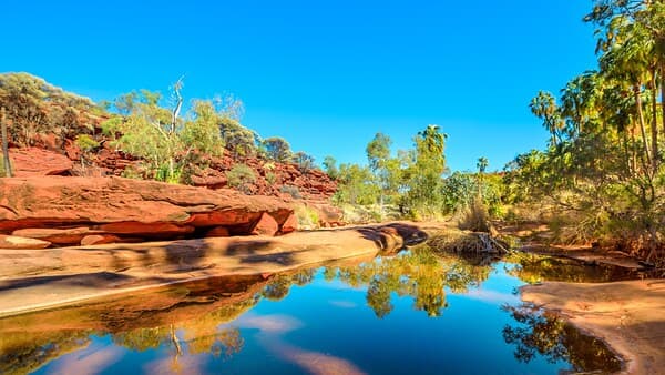 copertina Oasi Ep. 3 - Oman - I Giardini Sospesi D