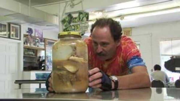 copertina Malati di risparmio