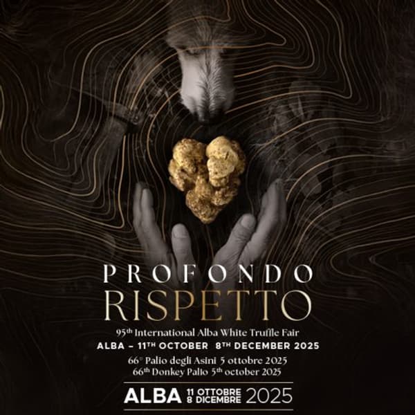 copertina Il gala' dei 500 - eccellenze italiane