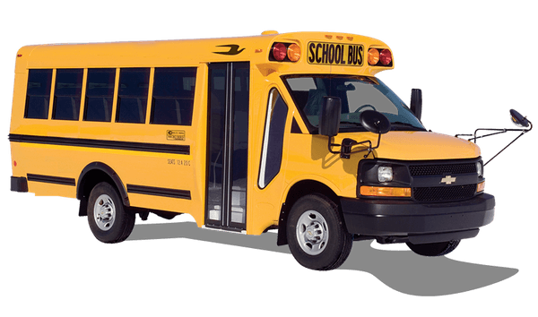 copertina Micro-mini insetti