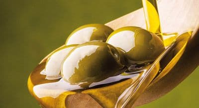 copertina La produzione dell olio d oliva