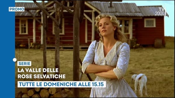 SERIE LA VALLE DELLE ROSE SELVATICHE copertina del programma SERIE LA VALLE DELLE ROSE SELVATICHE