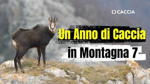 copertina A camosci con Bepi Audino