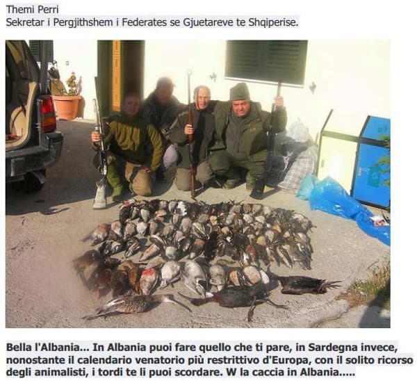 copertina A quaglie e anatre in Romania 1