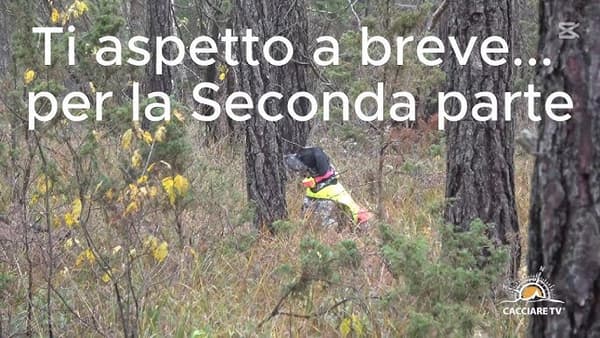 copertina Emozioni lituane. 2a parte