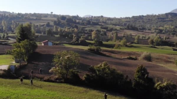 copertina Field - Della caccia e altre...
