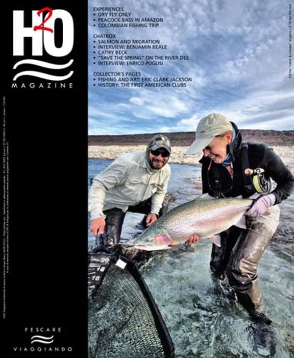 copertina La Macchia dei Galli