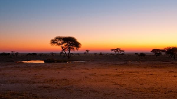 copertina La nostra Africa