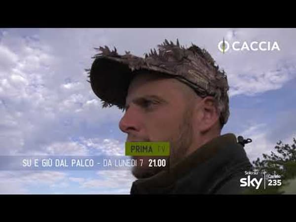 copertina Su e giu' dal palco