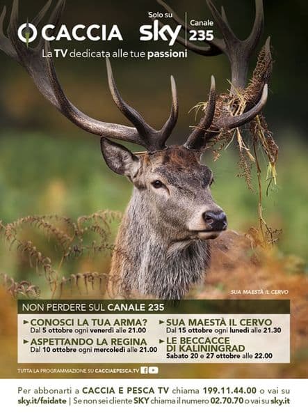 copertina Sua maesta' il cervo