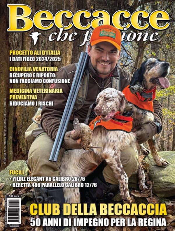 copertina Un cacciatore di beccacce 6 - Stag. 6 Ep. 1