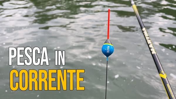 copertina Marco Genovesi