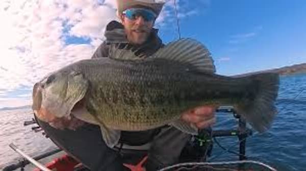 copertina Tramontana pesce in tana?