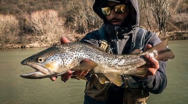 copertina Wild Fishing Expedition